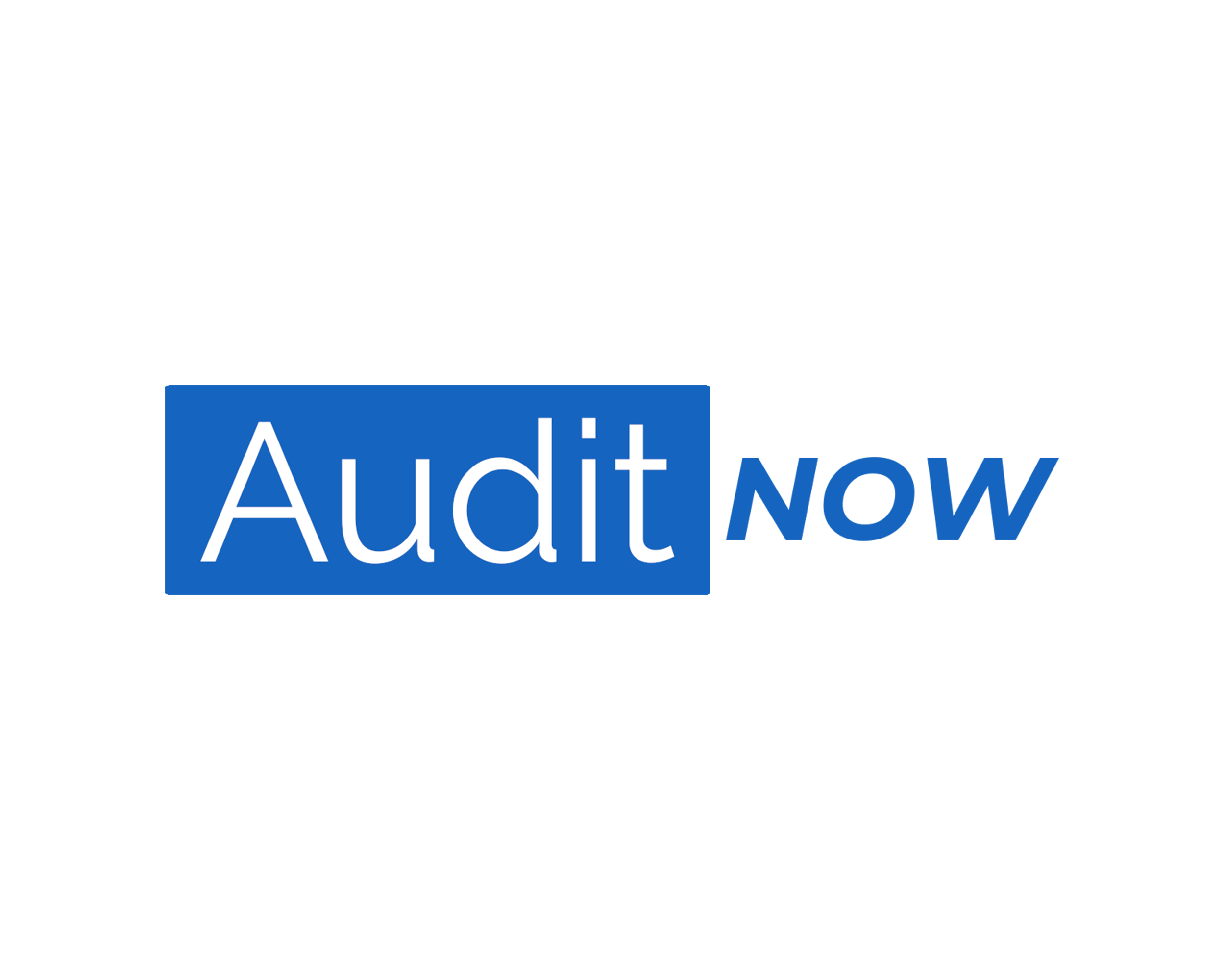 AuditNow logo